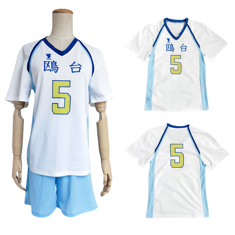 Anime Cosplay Japanese - Anime Japon Haikyuu!! Korai Hoshiumi Voleybol